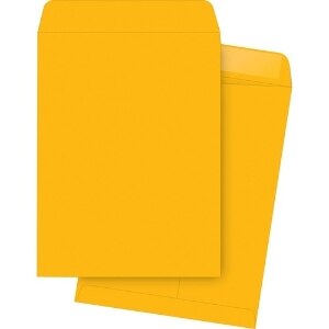 Business Source Large Format/Catalog Envelopes Catalog Envelope (65450)